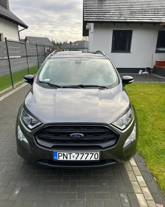 Ford EcoSport cena 71900 przebieg: 28114, rok produkcji 2019 z Opole Lubelskie małe 154